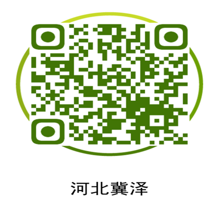 DB视讯